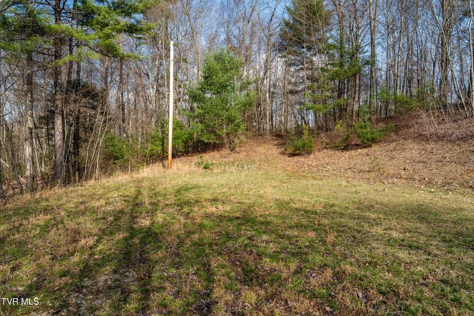 Photo #29: Tbd Big Dry Run Road