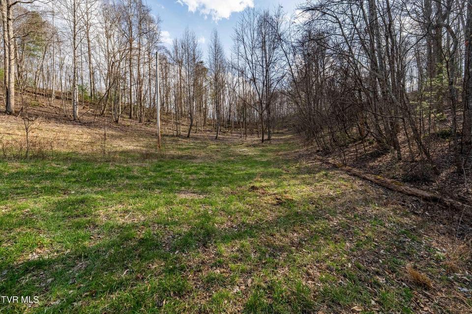 Photo #32: Tbd Big Dry Run Road