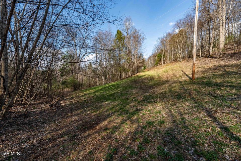 Photo #34: Tbd Big Dry Run Road