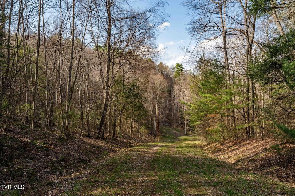 Photo #35: Tbd Big Dry Run Road