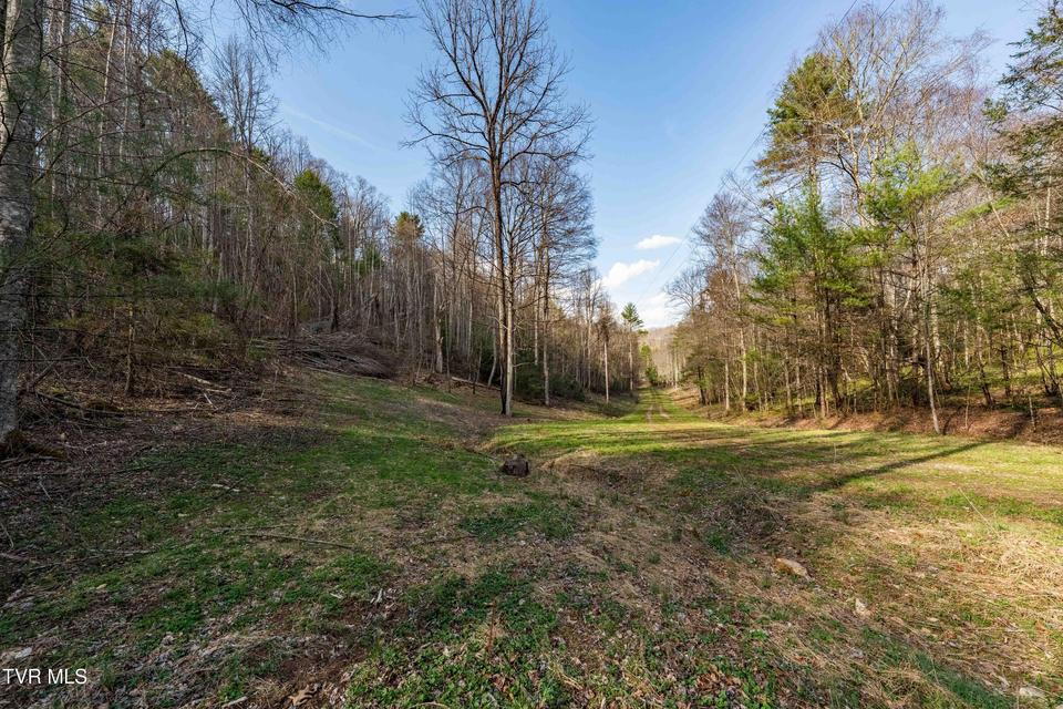 Photo #37: Tbd Big Dry Run Road