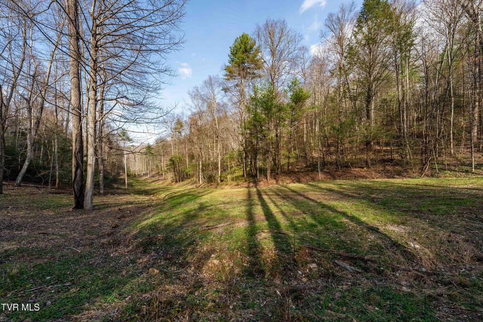 Photo #38: Tbd Big Dry Run Road