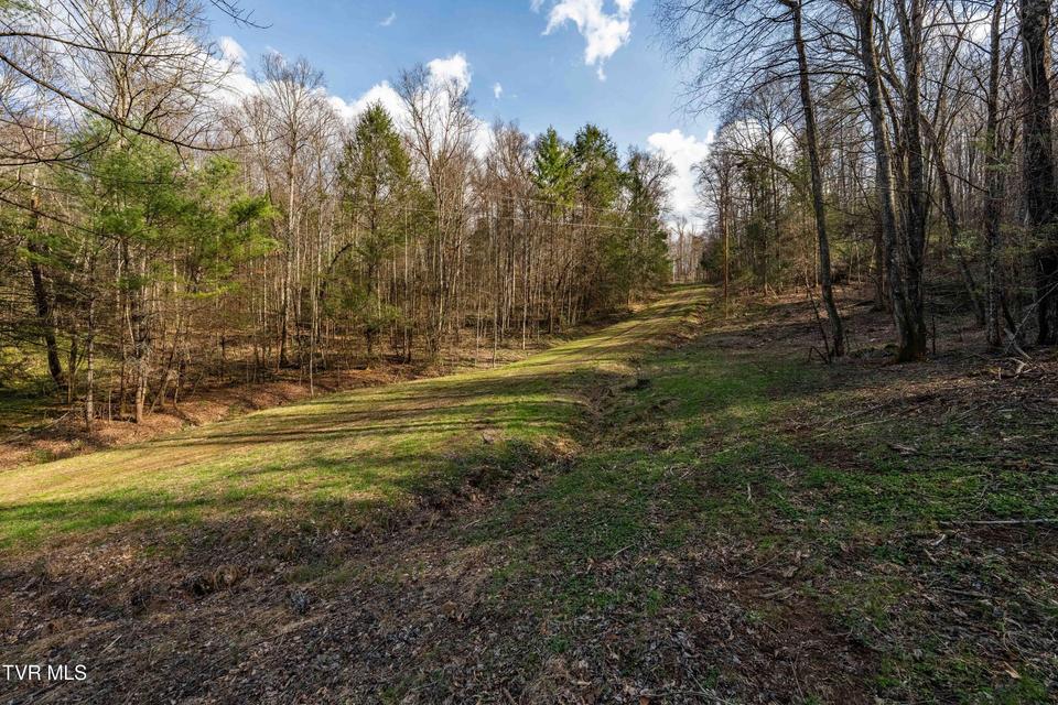 Photo #39: Tbd Big Dry Run Road