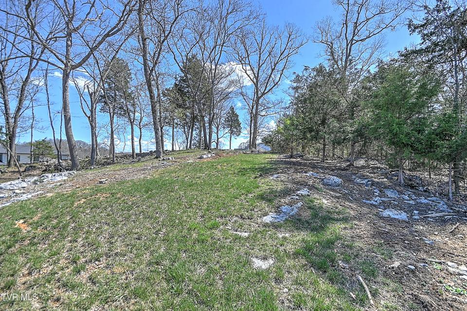 Photo #78: 1624 Conestoga Pass 