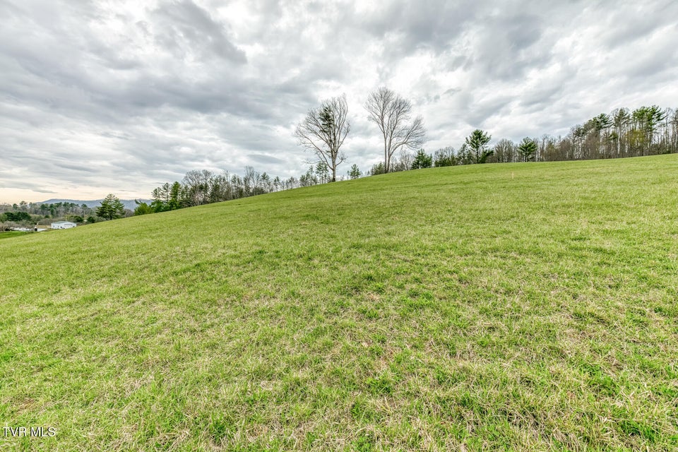 Photo #19: Tbd Highway 67 West 