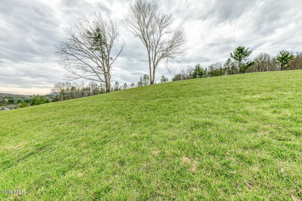 Photo #23: Tbd Highway 67 West 