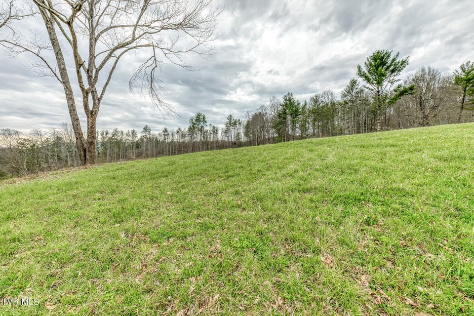 Photo #24: Tbd Highway 67 West 