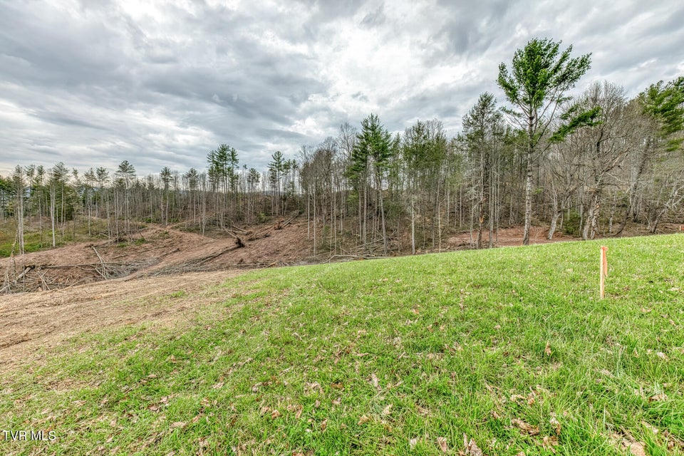 Photo #25: Tbd Highway 67 West 