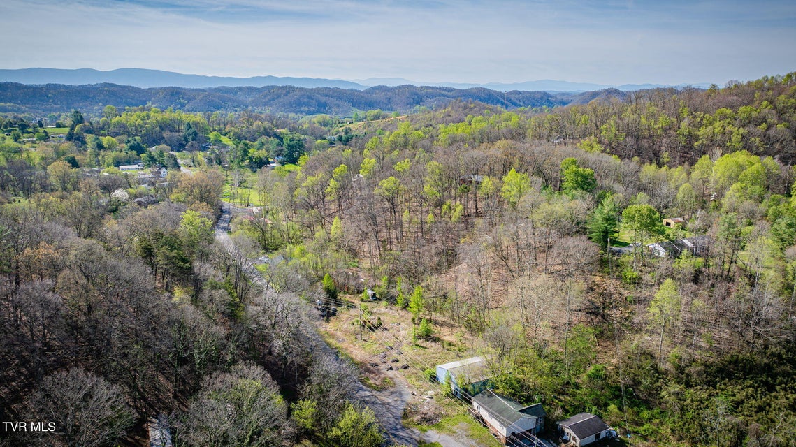 Photo #18: 571 Walnut Hill Road