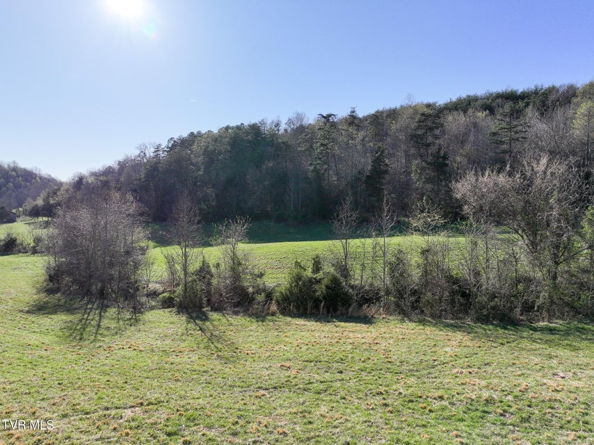 Photo #6: Lot 2 Morrison Road