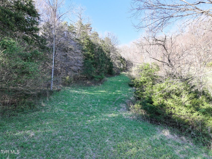 Photo #8: Lot 2 Morrison Road