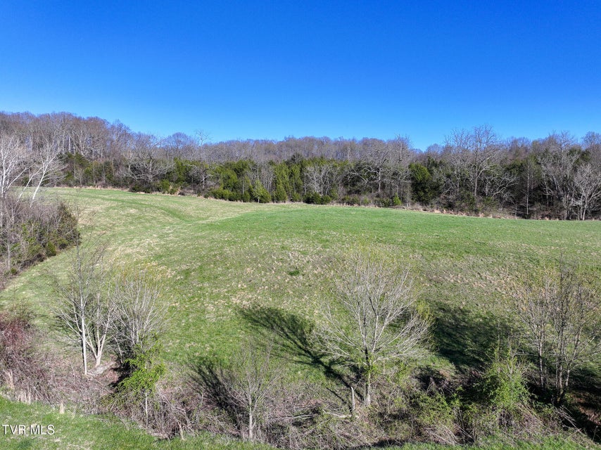 Photo #13: Lot 2 Morrison Road