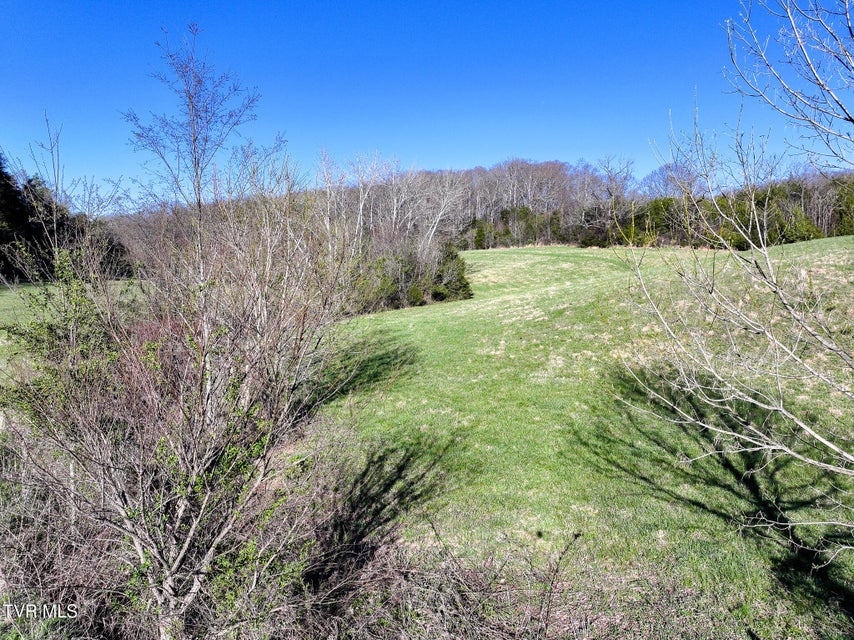 Photo #14: Lot 2 Morrison Road