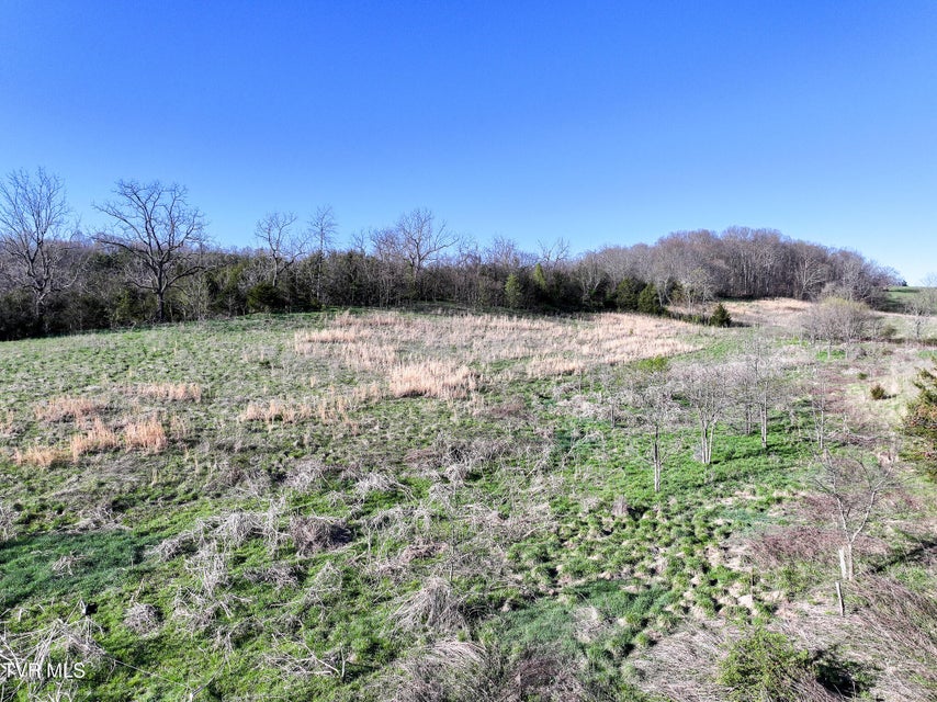 Photo #7: Lot 1 Morrison Road