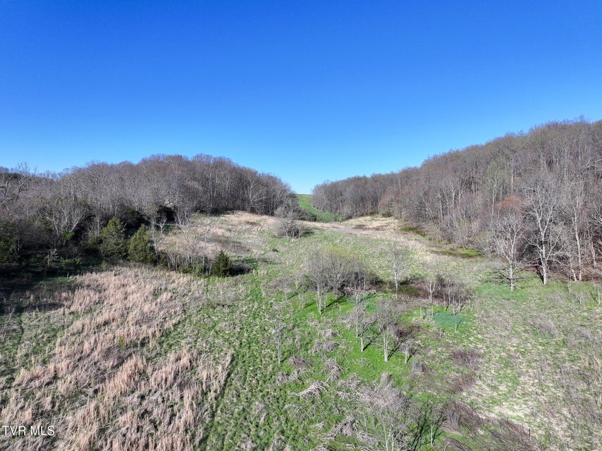 Photo #8: Lot 1 Morrison Road