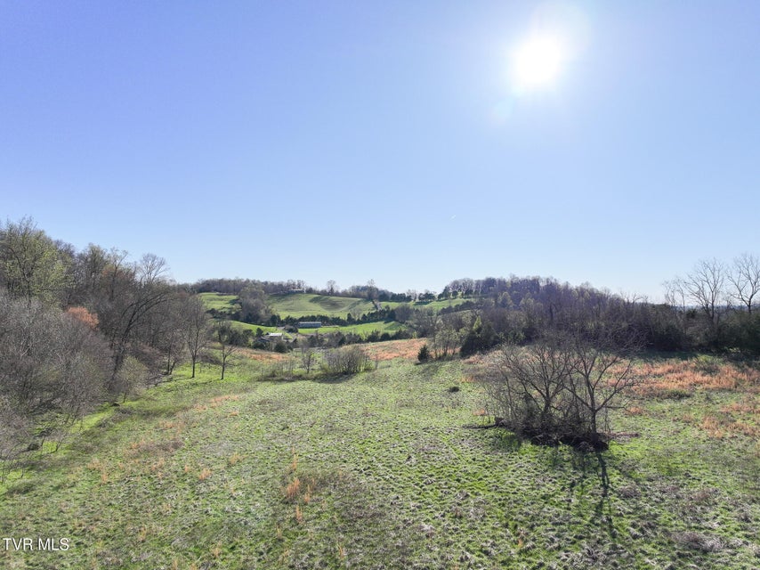 Photo #11: Lot 1 Morrison Road