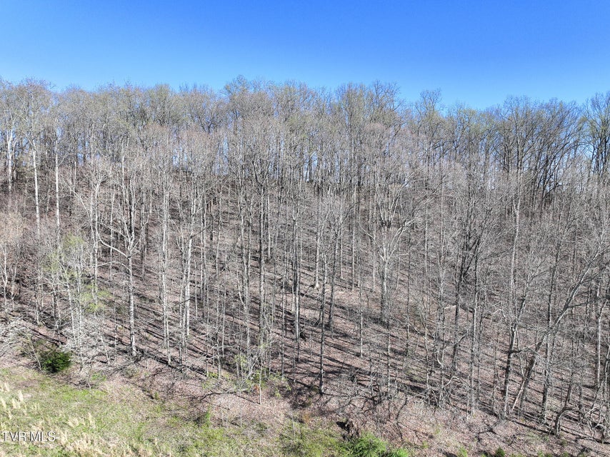 Photo #12: Lot 1 Morrison Road