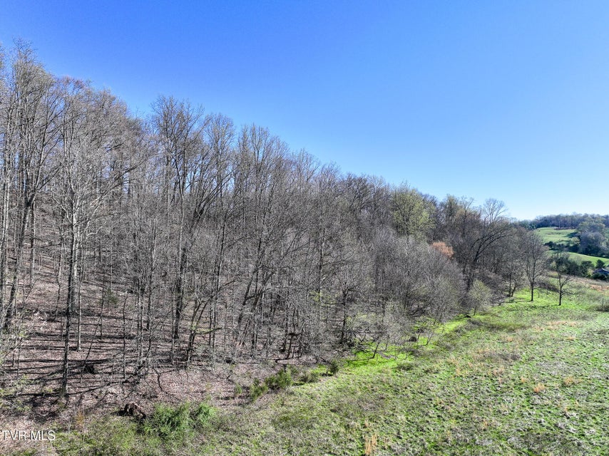 Photo #13: Lot 1 Morrison Road