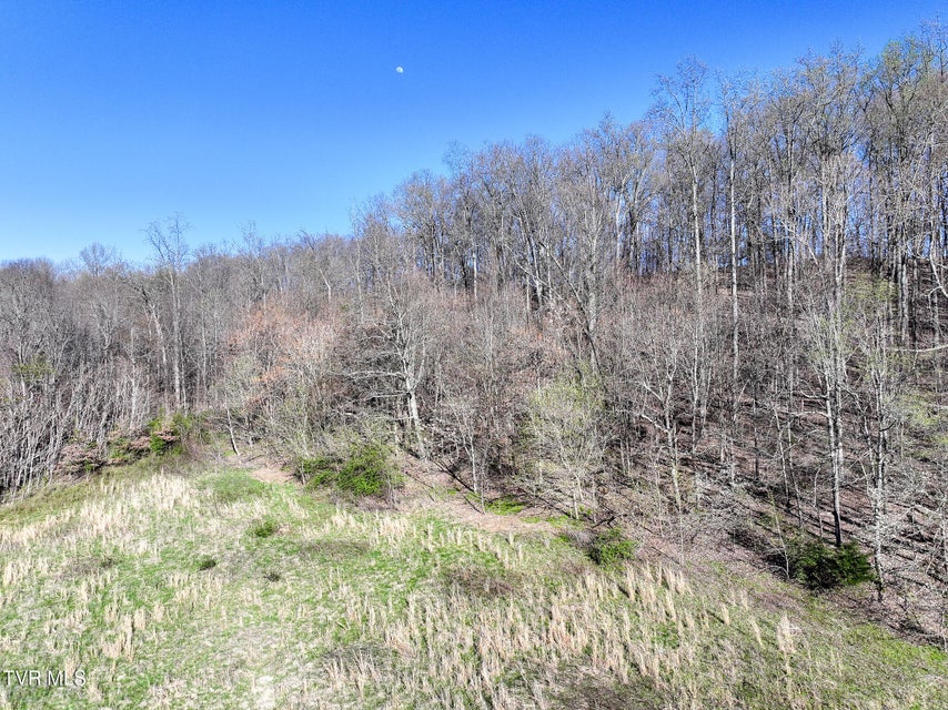 Photo #14: Lot 1 Morrison Road