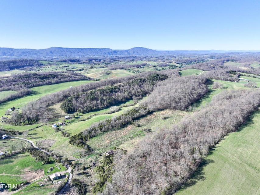 Photo #18: Lot 1 Morrison Road