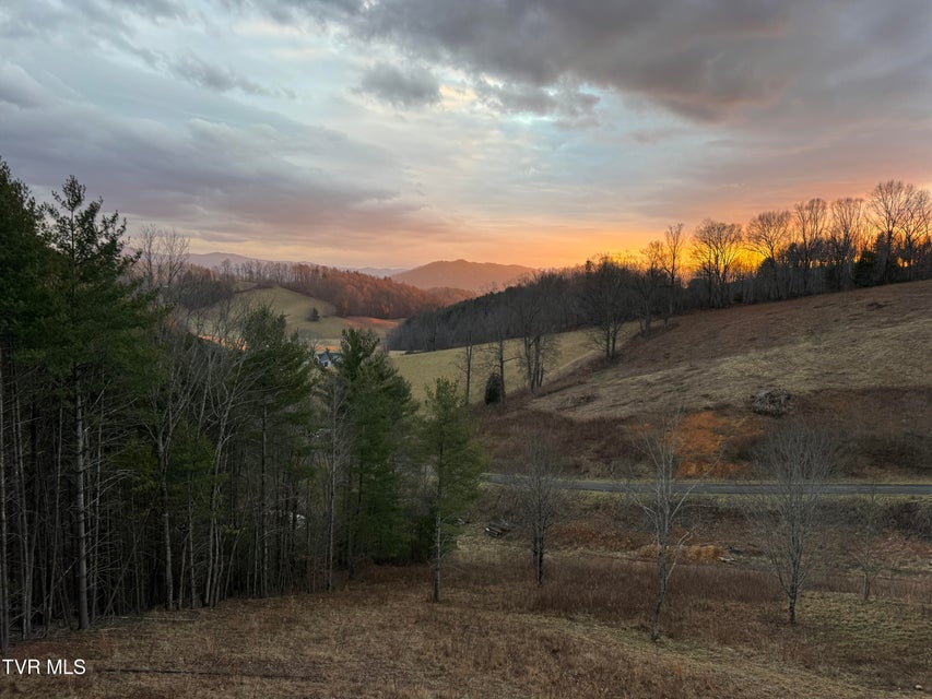 Photo #46: 550 Ridgeview Drive