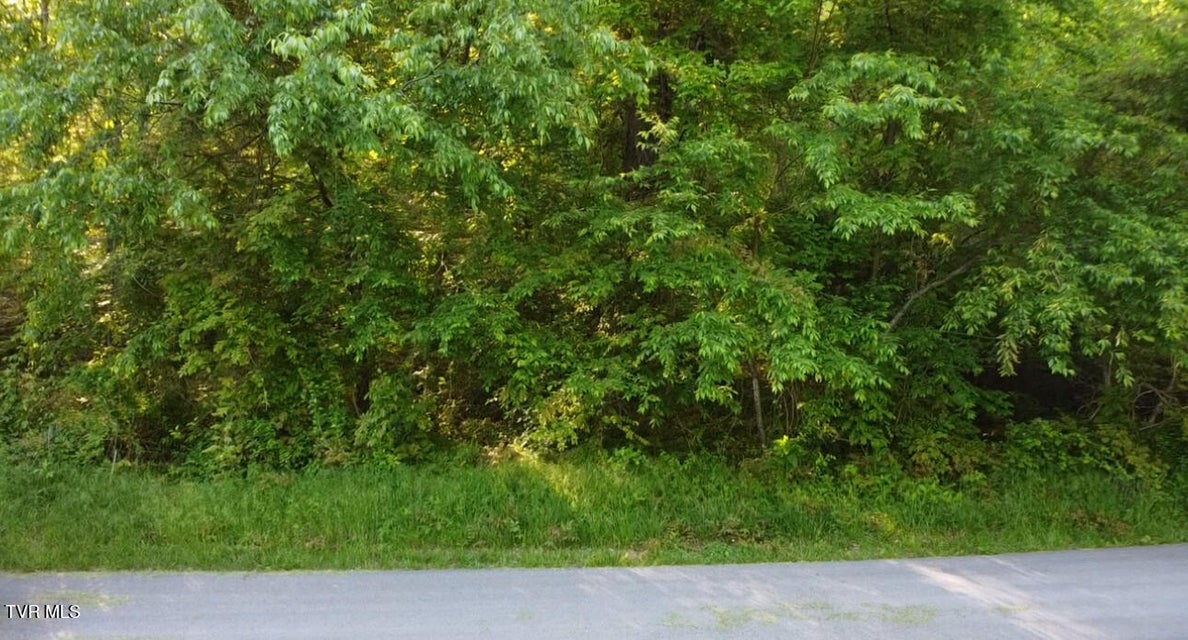 Photo #2: 305 Chandler Circle