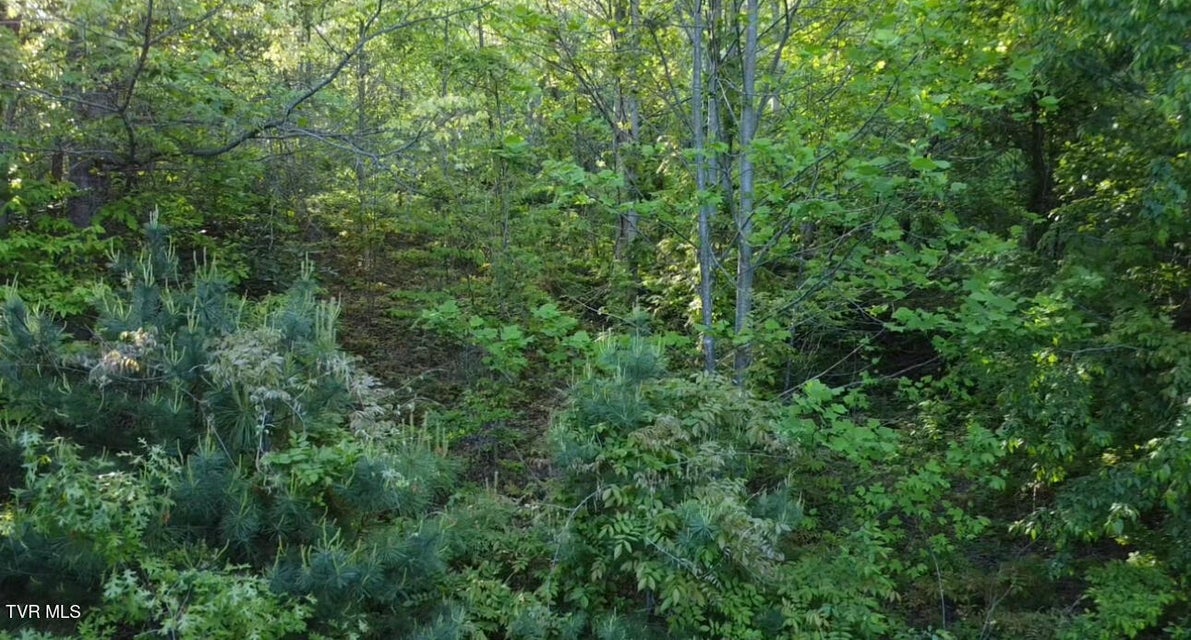 Photo #3: 305 Chandler Circle