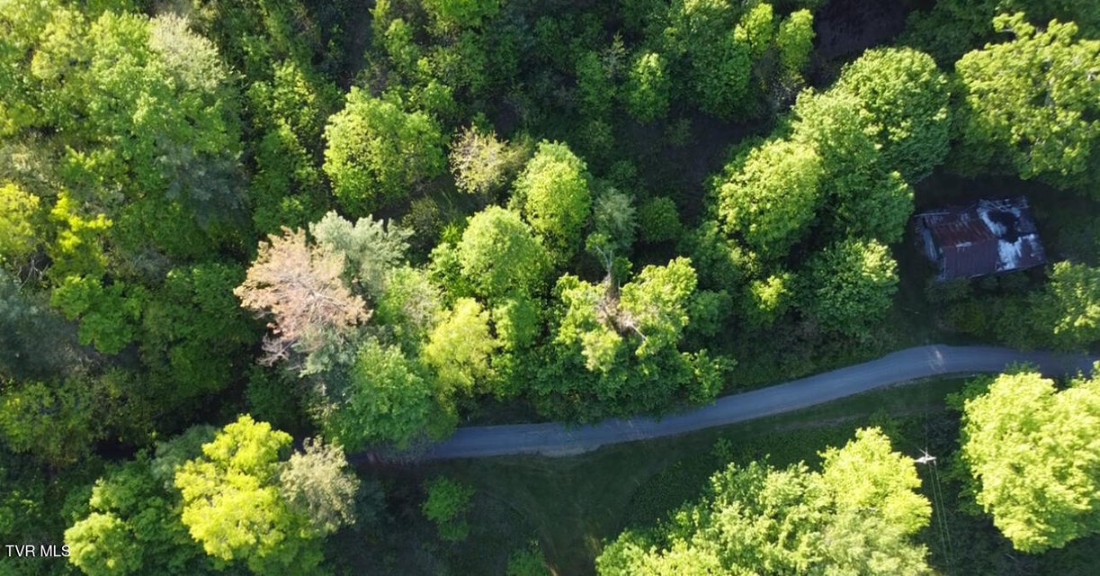 Photo #4: 305 Chandler Circle