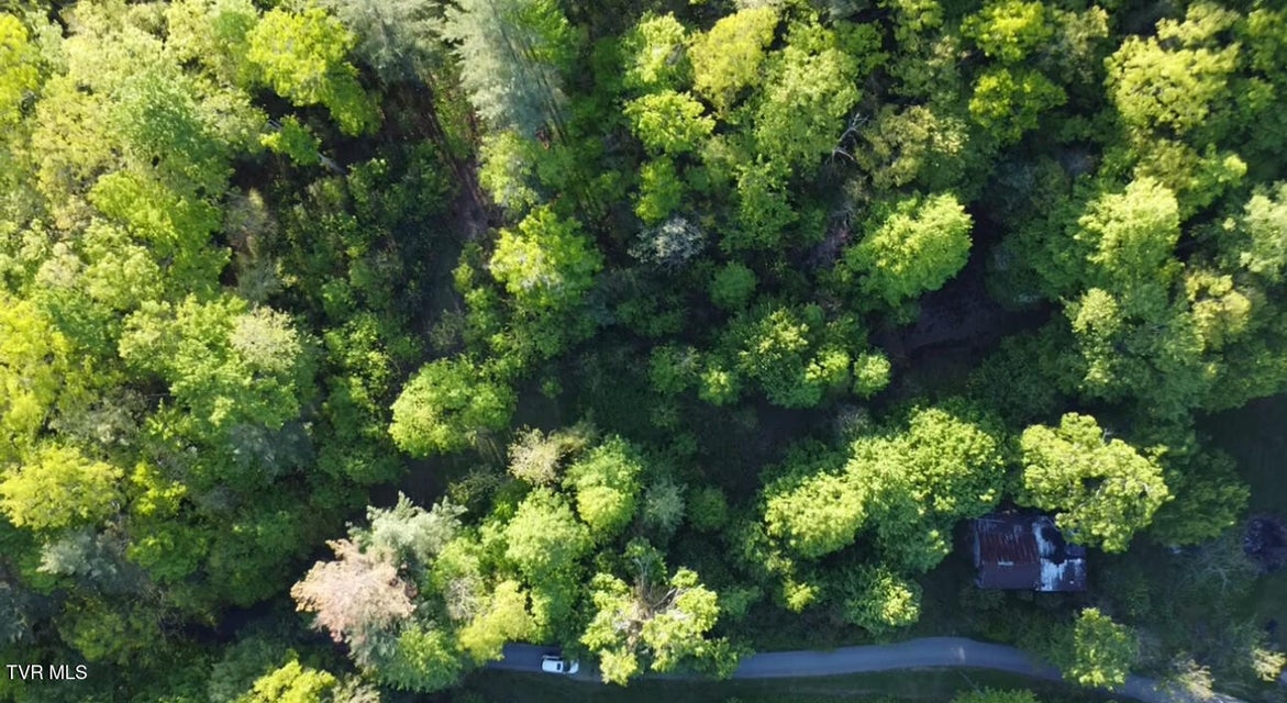 Photo #5: 305 Chandler Circle