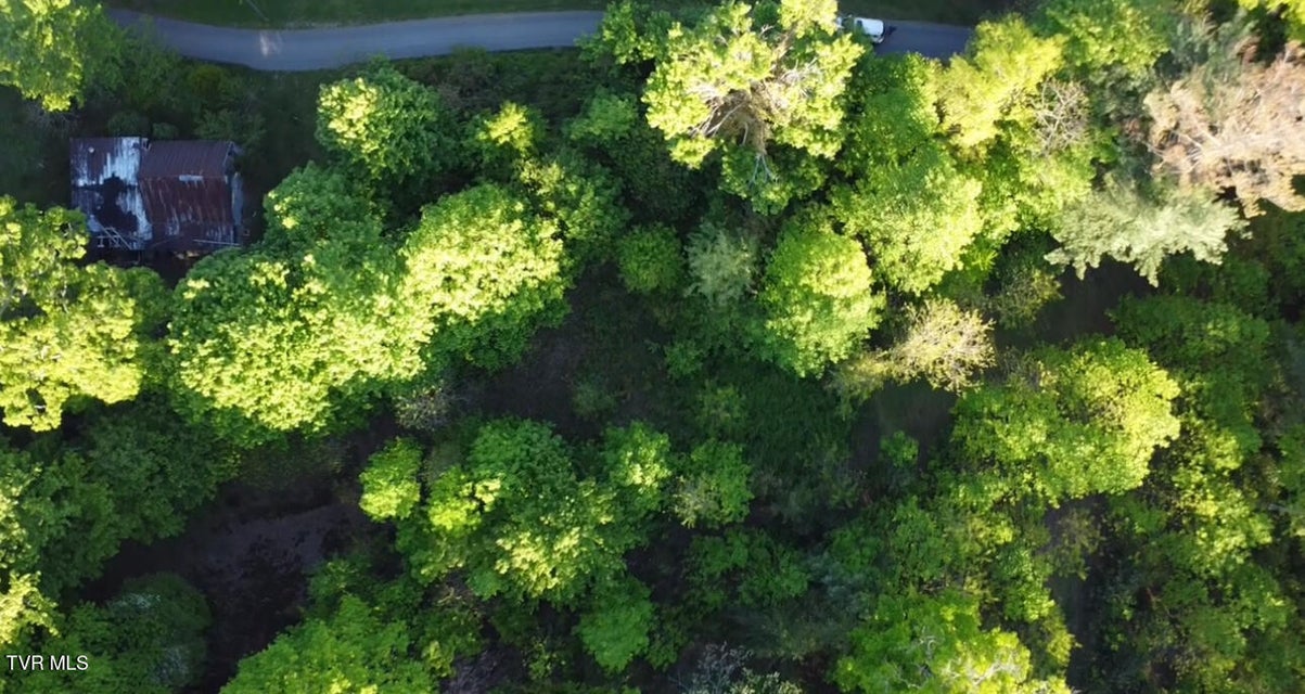 Photo #6: 305 Chandler Circle