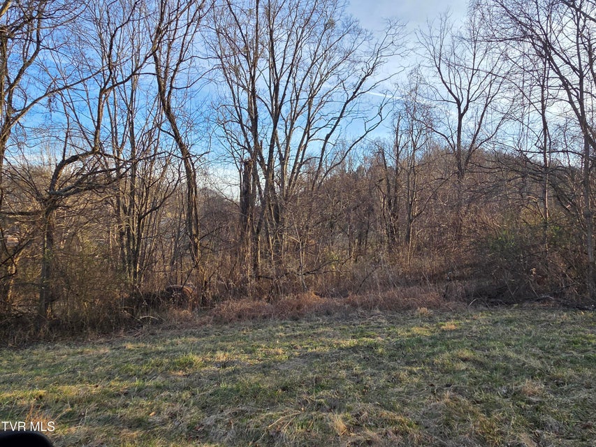 Photo #4: 112 Eisenhower Road