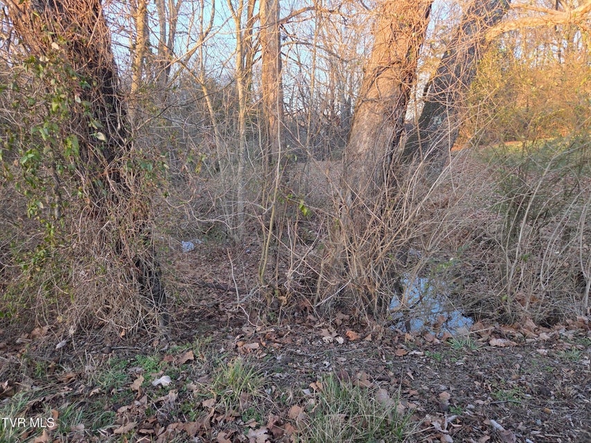 Photo #18: 112 Eisenhower Road