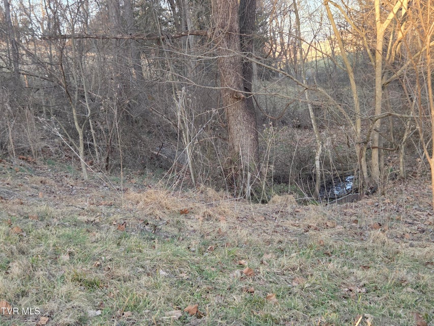 Photo #19: 112 Eisenhower Road