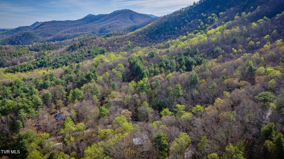 Photo #35: 1072 Lower Paint Creek Road