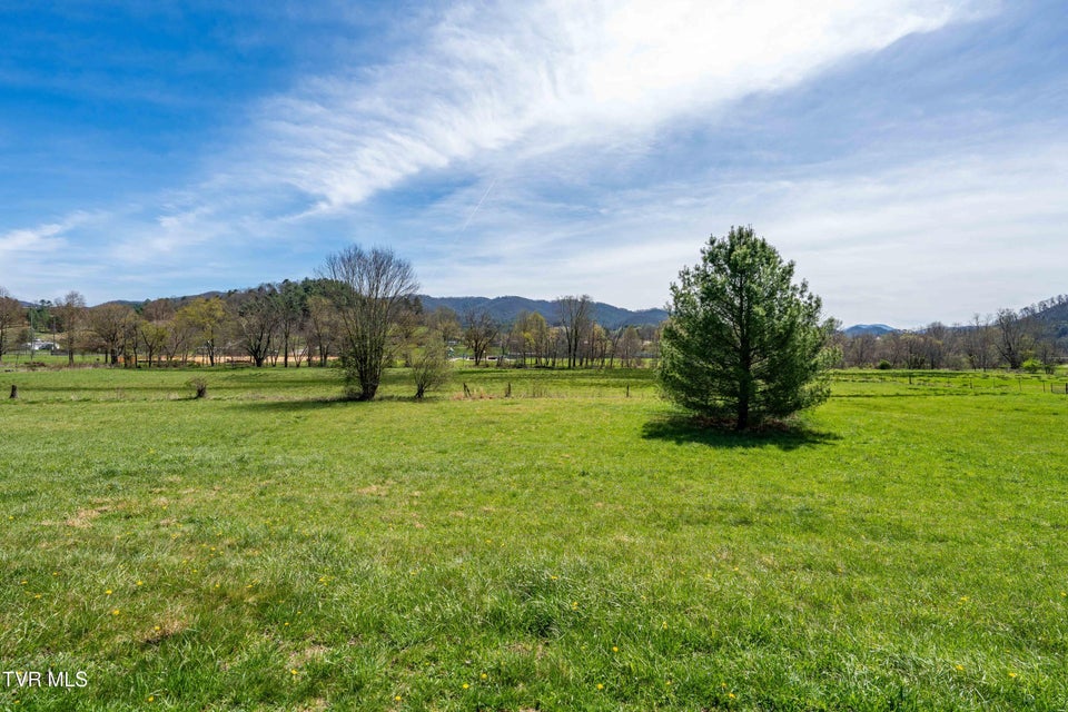 Photo #17: 248 Sunset Drive