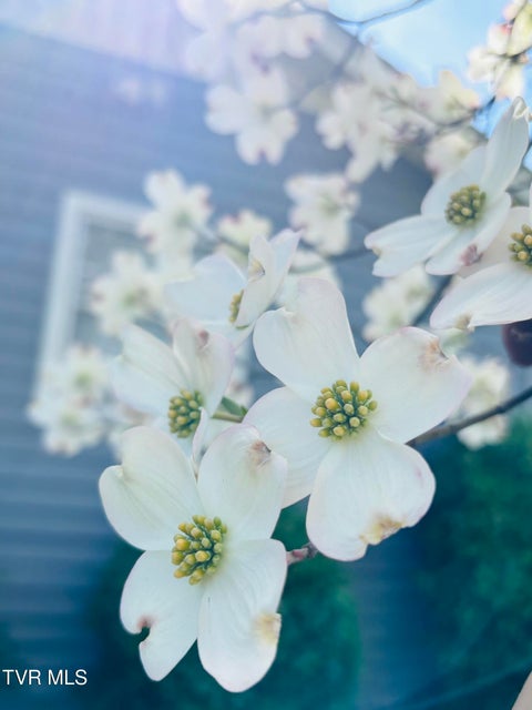 Photo #31: 1644 Redwood Drive