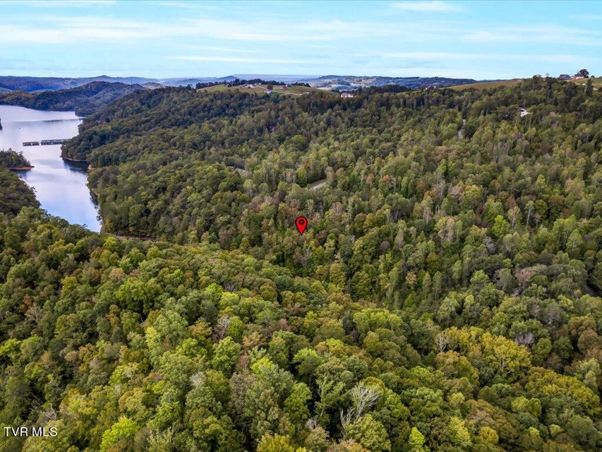 Photo #13: Lot 410 Mystic Star Drive