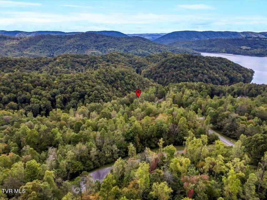 Photo #16: Lot 410 Mystic Star Drive