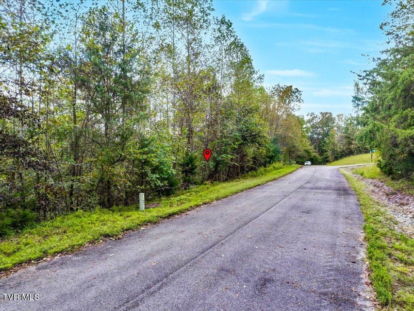 Photo #19: Lot 410 Mystic Star Drive