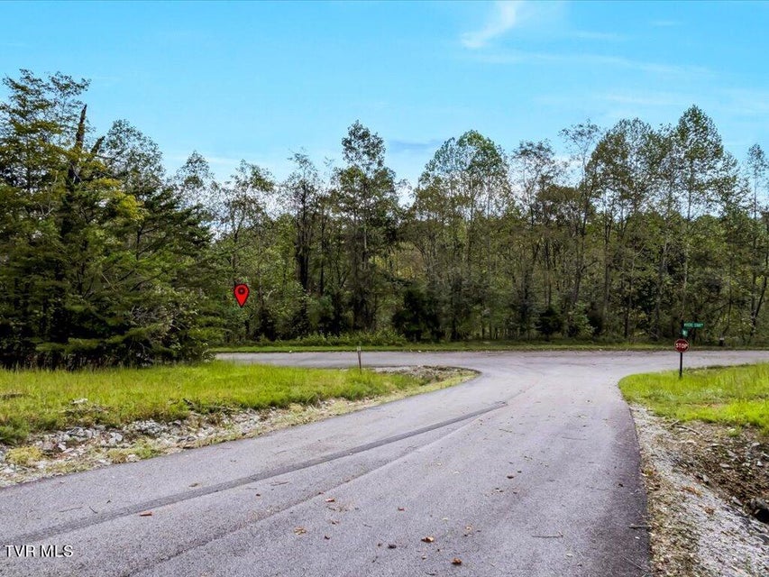 Photo #21: Lot 410 Mystic Star Drive