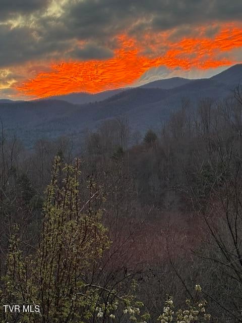 Photo #21: 710 Gordon Ridge Road