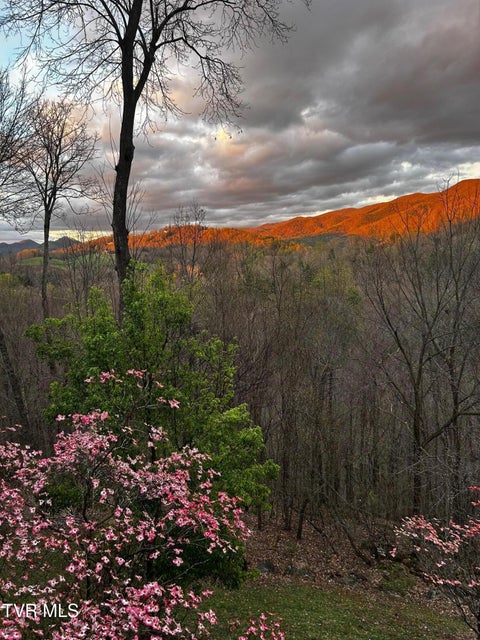 Photo #20: 710 Gordon Ridge Road