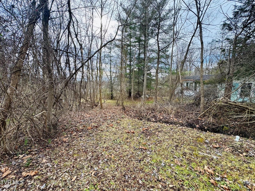 Photo #15: 308 7th Street