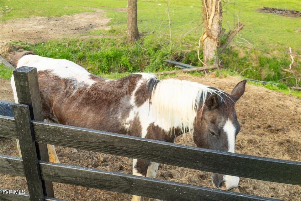 Photo #72: 250 Burnetts Chapel Lane