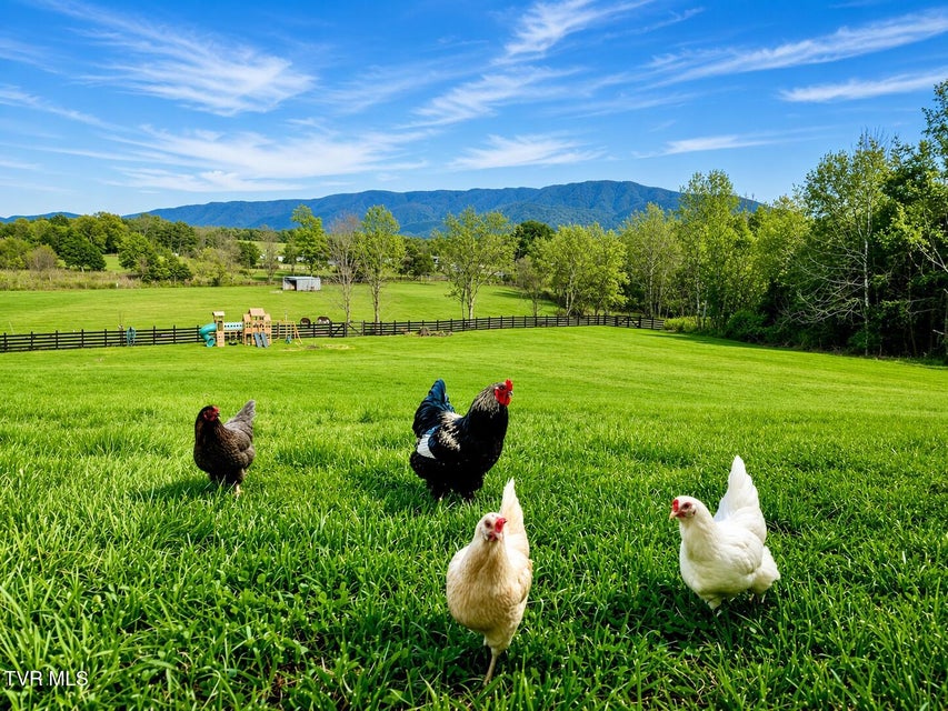 Photo #75: 250 Burnetts Chapel Lane