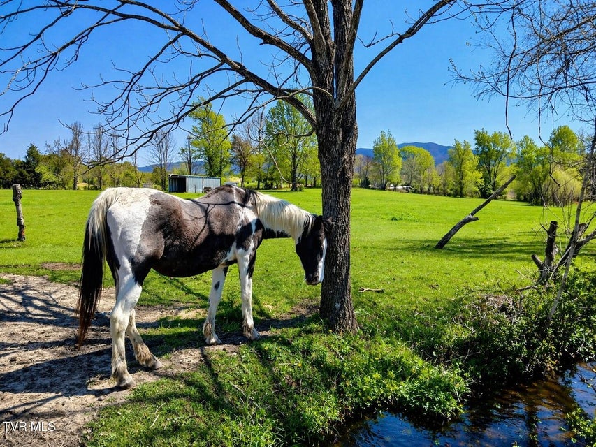Photo #73: 250 Burnetts Chapel Lane