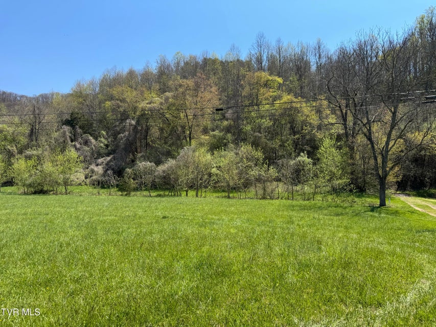 Photo #7: 9296 Bristol Highway