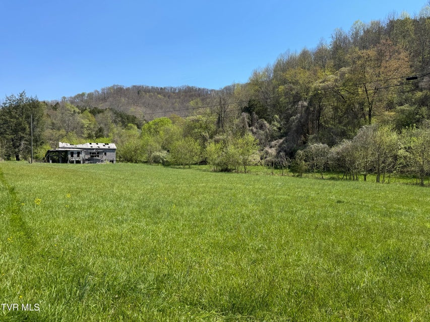 Photo #8: 9296 Bristol Highway