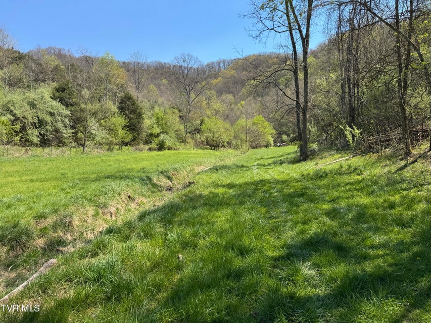 Photo #11: 9296 Bristol Highway