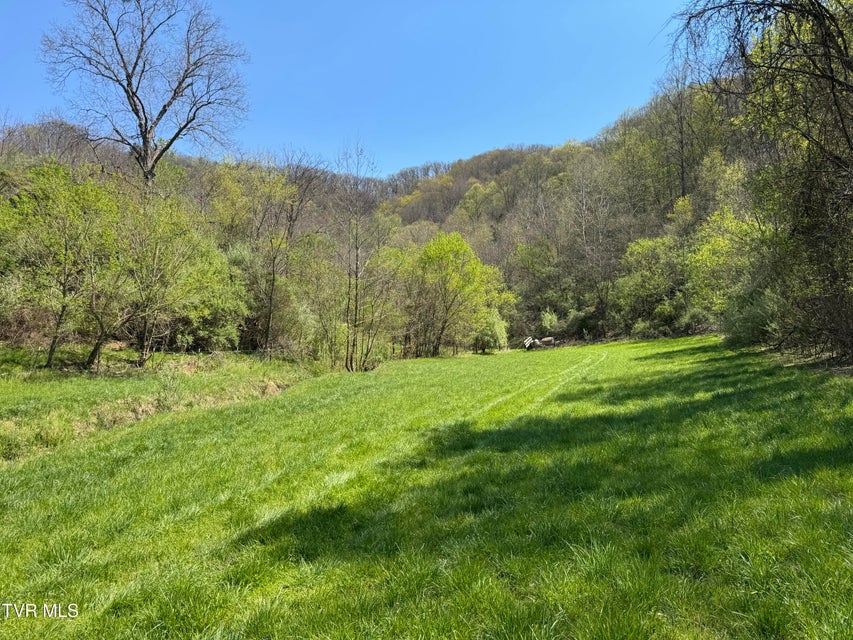 Photo #12: 9296 Bristol Highway